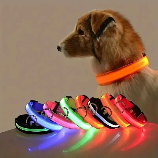 LED Glow-in-the-Dark Dog Leash & Collar